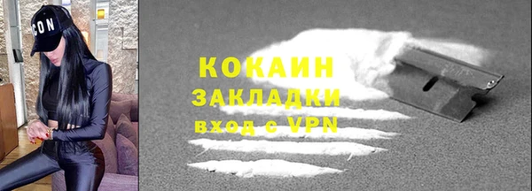 метадон Богданович