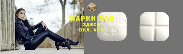 эйфоретик Бородино